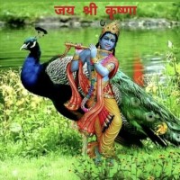 Bheru Garg