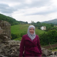 Neveen Mahmoud Abbas , PHR