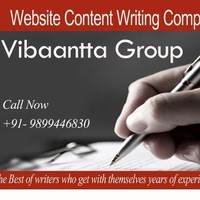 Vibaantta Group