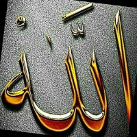 يحيى العريشي