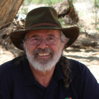 Greg Gnesios