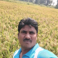 Katta Narsimha