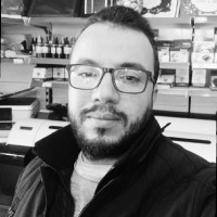 Rouane Hamza