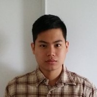 Vinson Salim