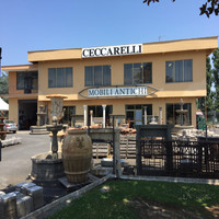 Osvaldo Ceccarelli