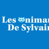 Sylvain Bolle