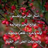 علاء الازهري