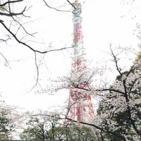 褚佳文