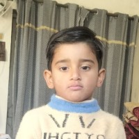 Raja Hamzq