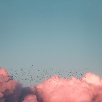 Test Test