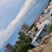 Shasini Manogar