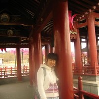 Yingying Cui