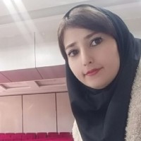 Elaheh Ahmadi