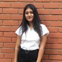 Tripti Kumar