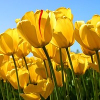 Rubiel Hernan aparicio castro