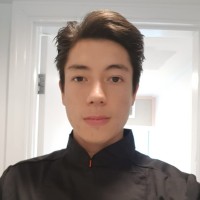 Dalmo Tsuyoshi Venturieri