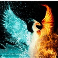 Phoenix World Ng