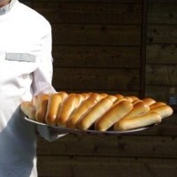 Willem Orstenbrood