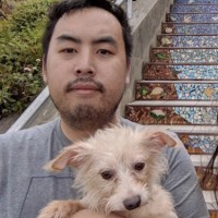 Lee Vang