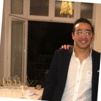 Ahmed Elnaghia