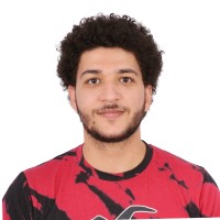 Amr Ismail