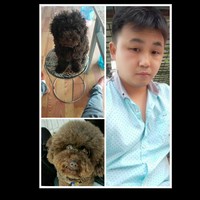 朱维俊