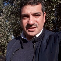 Mohamed Ali HAMMAMI