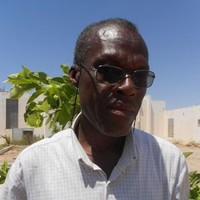 Mhamed Chebl