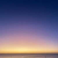 Martin Sharp