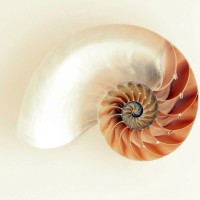 Karthikeyan sellamuthu