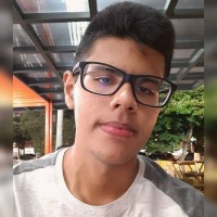 Carlos Henrique Viana