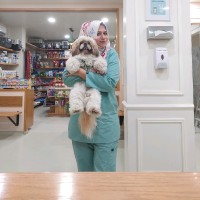Dr Yusra Abbasi, DVM