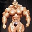 scott lorimer