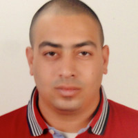 Ahmed Atef Wahid