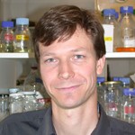 Denis Dacheux