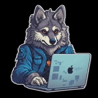 Wolfy'S Hint Gp Providers