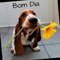 Maria Dos Santos