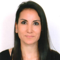 N. Derya Erkut