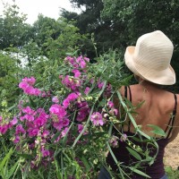 Carole Caplan-Sosin