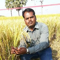 Madhav Vilasagaram