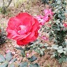 Aadesh Singh