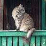 Антонина Щербинина