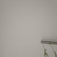 罗弟友