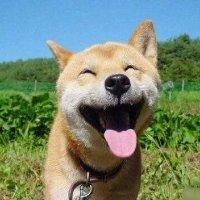 王丛军