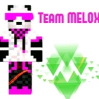 Team MELOX null