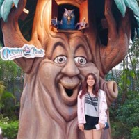 Willow Zhou