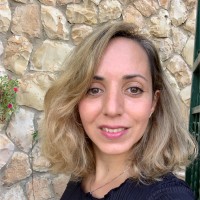 Adi Shalev
