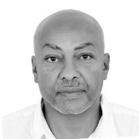 Alwaleed M. Abdelmageed