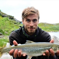 Håvard Ingulfsvann
