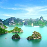 Halong travel show